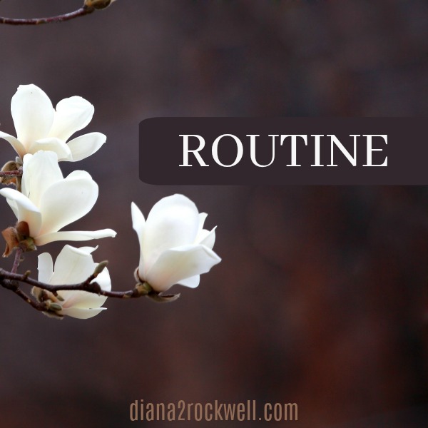 Never Ordinary, Not Routine – Diana Rockwell